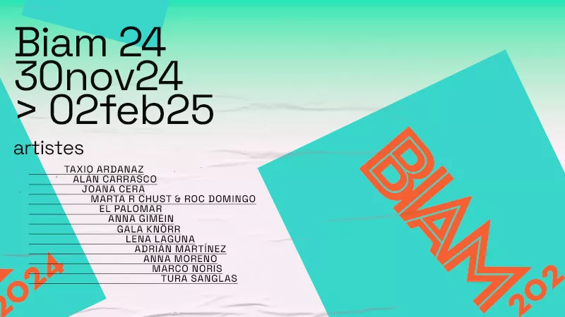 Bienal d’Art Ciutat d’Amposta (BIAM) 2024