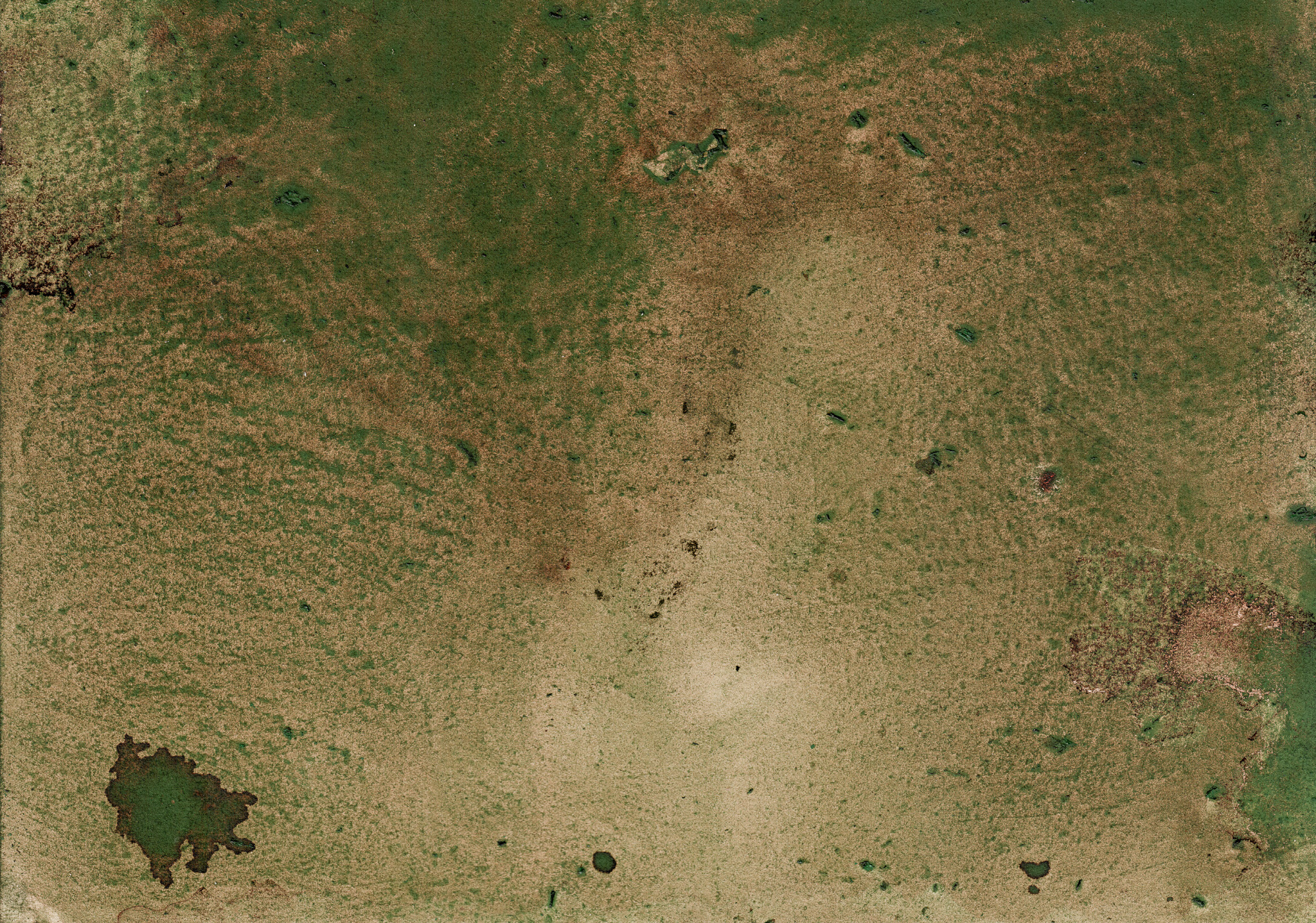 Viewing Room: Postals des de Piramidón